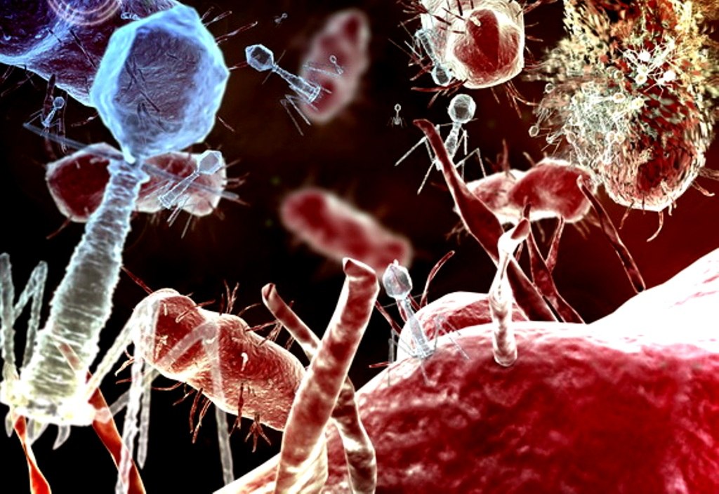 Что вы знаете о невидимых бактериях и вирусах?
